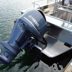 2018 Yamaha F20 Portable Tiller ES PT F20LPHA