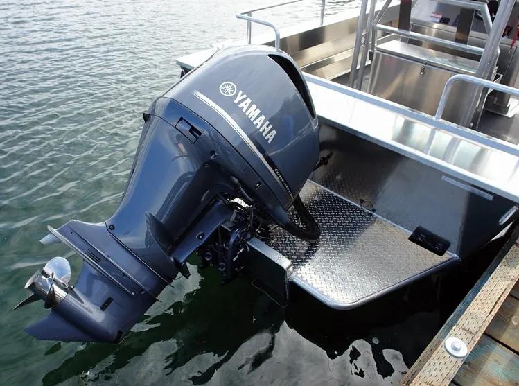 2018 Yamaha F20 Portable Tiller ES PT F20LPHA