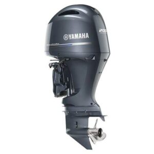 2019 Yamaha 30 HP F30LA